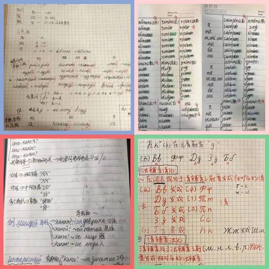 3c448b975cfc492df4d05e3e3c9cf1e